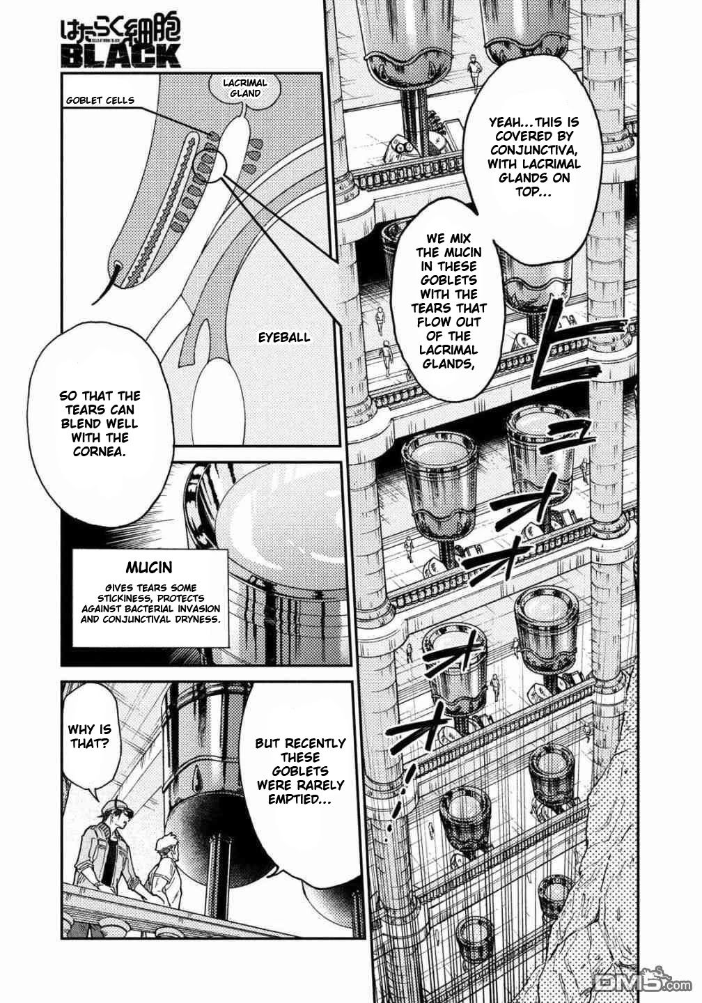 Hataraku Saibou BLACK chapter 32 page 24