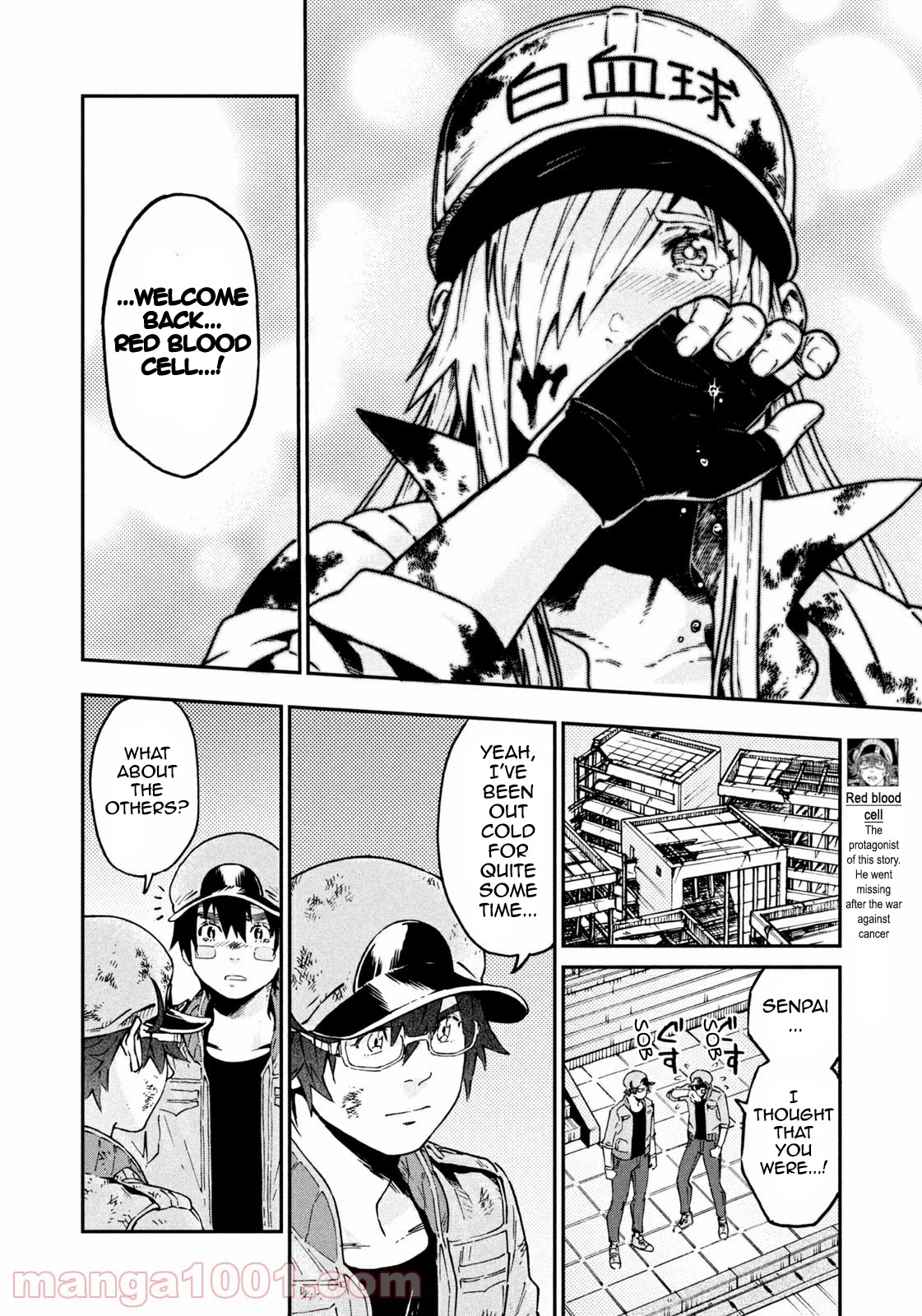 Hataraku Saibou BLACK chapter 43 page 14