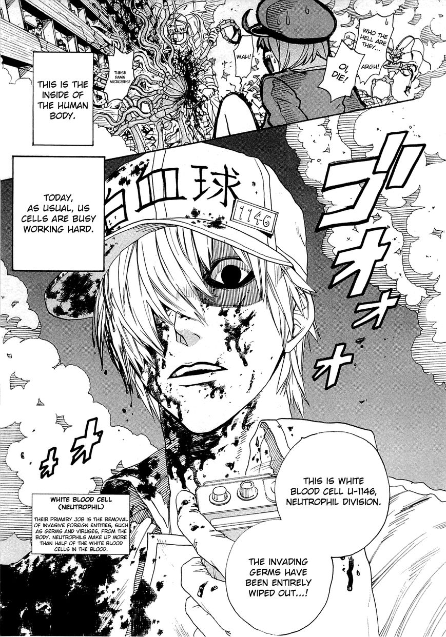 Hataraku Saibou chapter 1 page 12