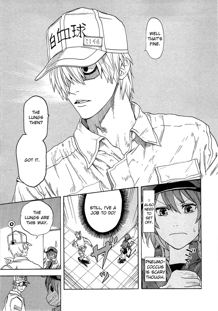 Hataraku Saibou chapter 1 page 24