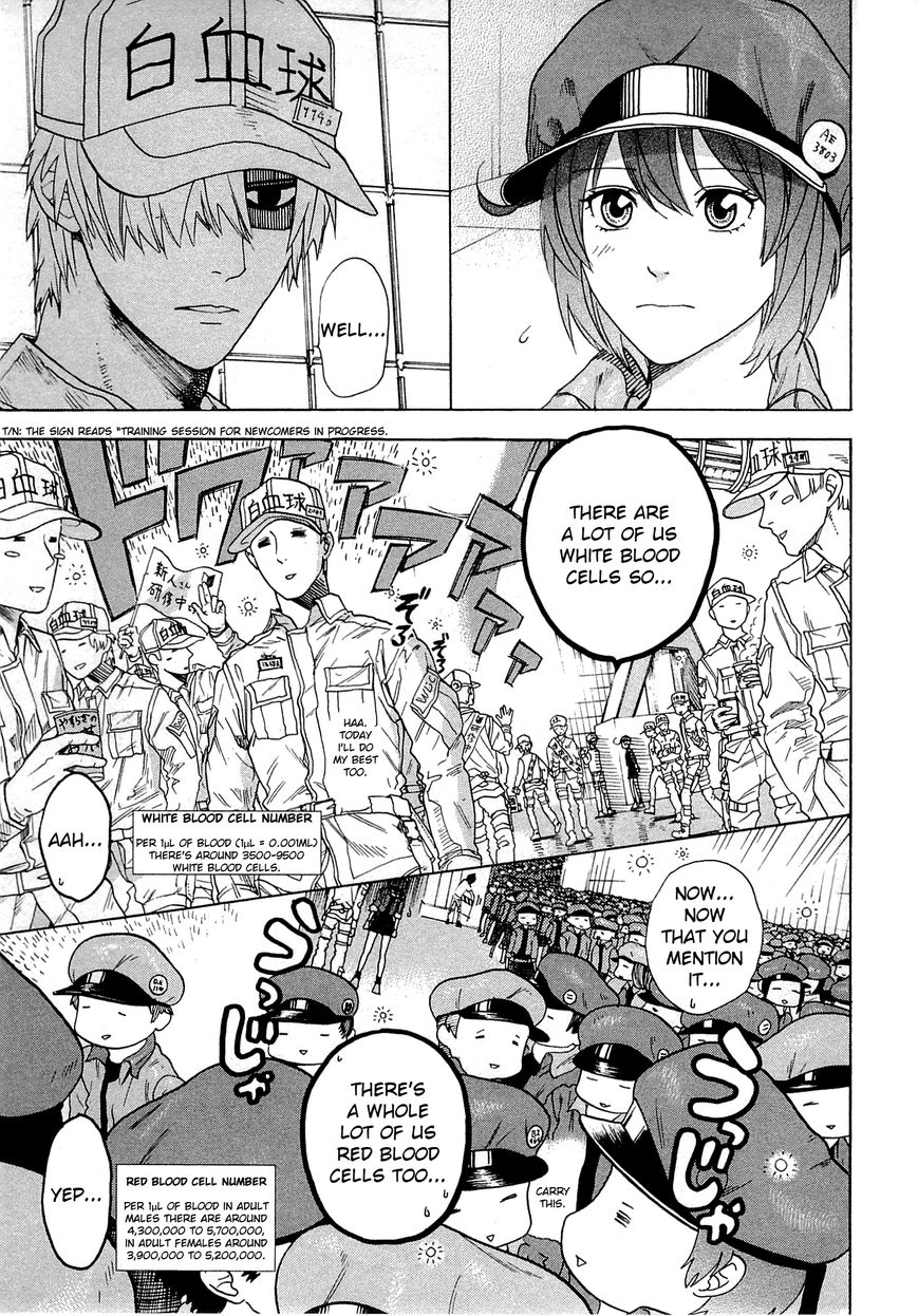 Hataraku Saibou chapter 1 page 58