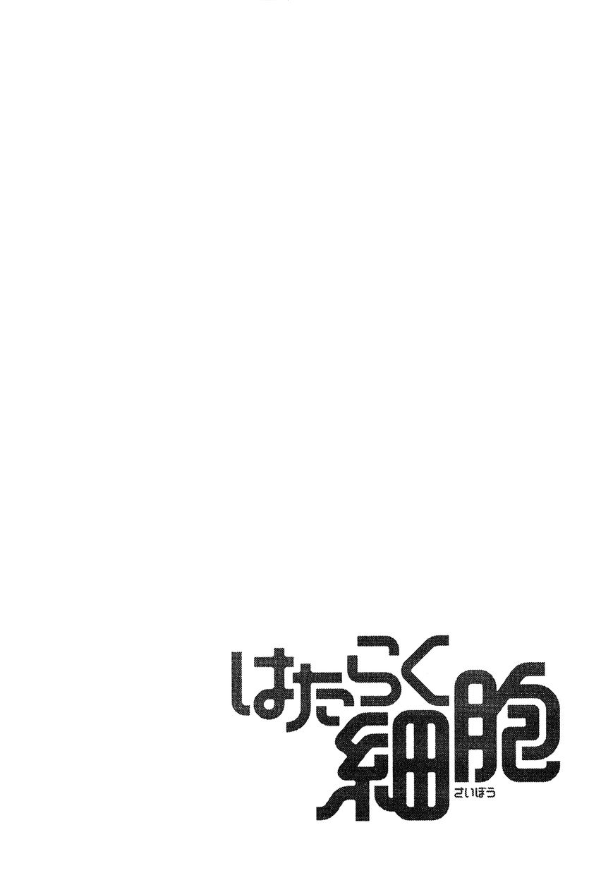 Hataraku Saibou chapter 1 page 61