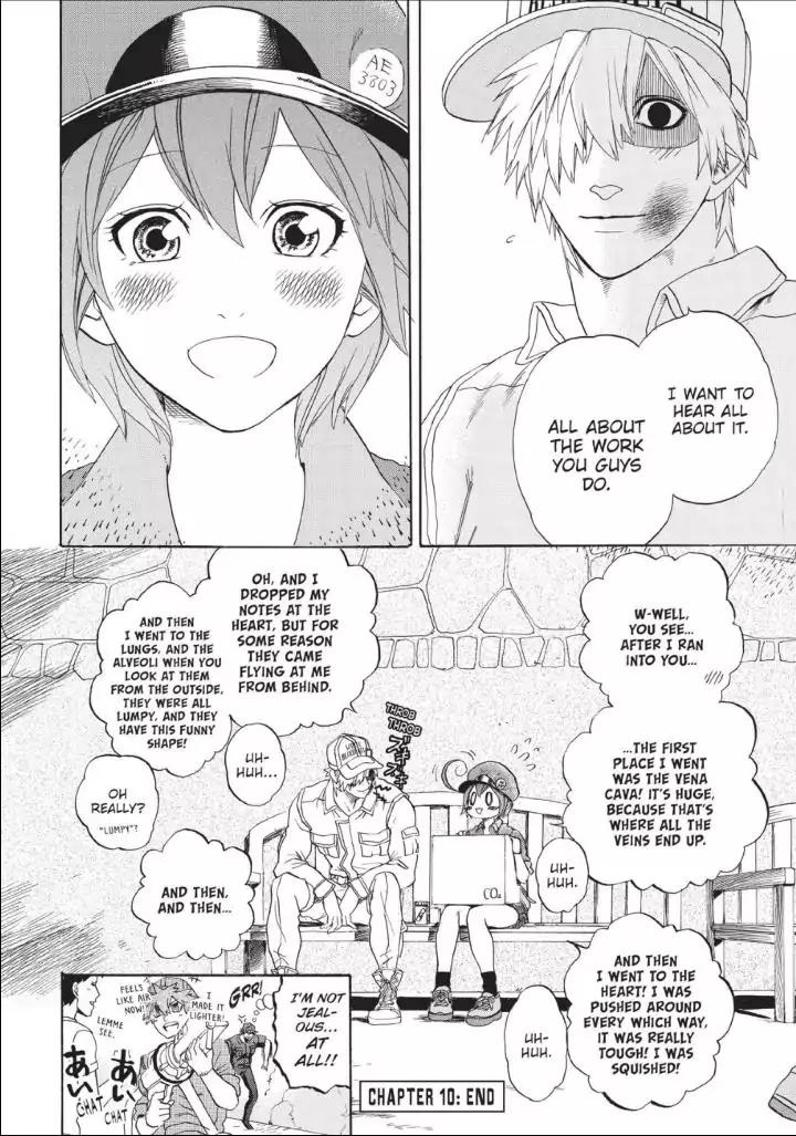 Hataraku Saibou chapter 10 page 27