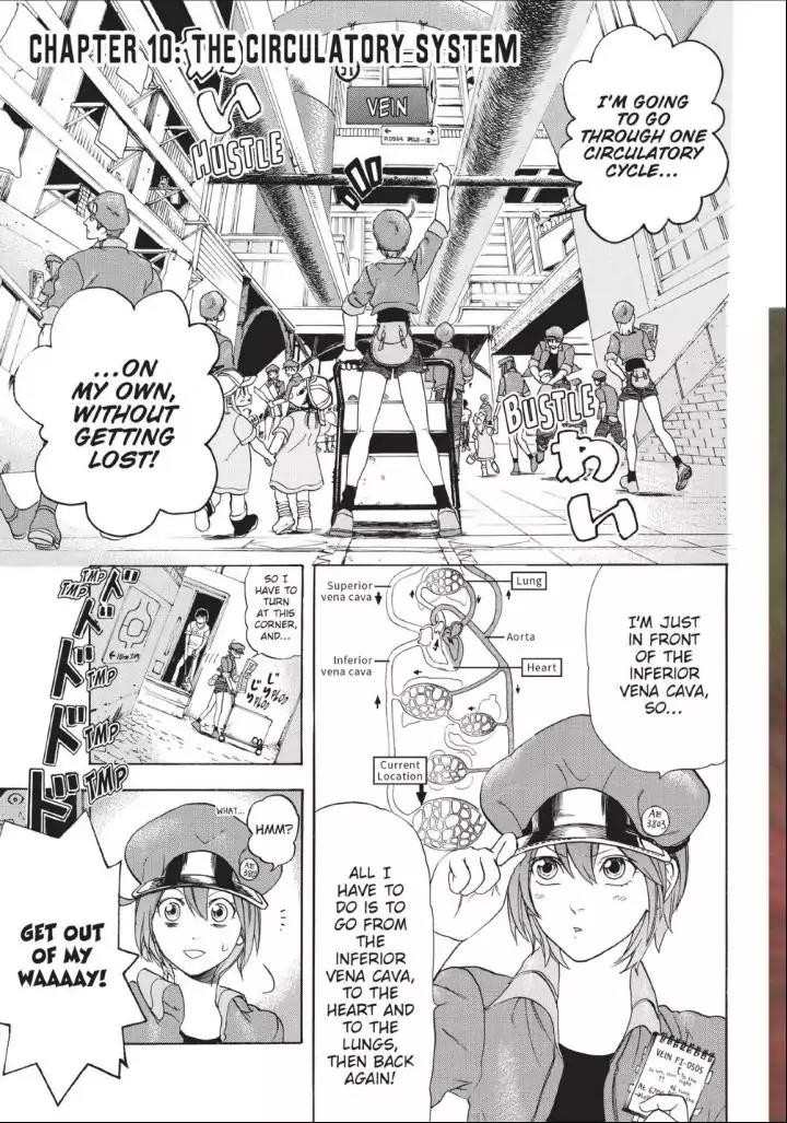 Hataraku Saibou chapter 10 page 4