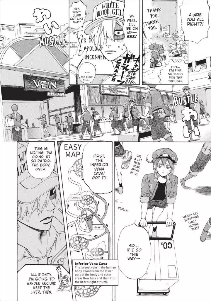 Hataraku Saibou chapter 10 page 9