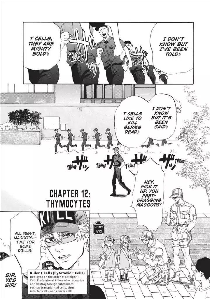 Hataraku Saibou chapter 12 page 1