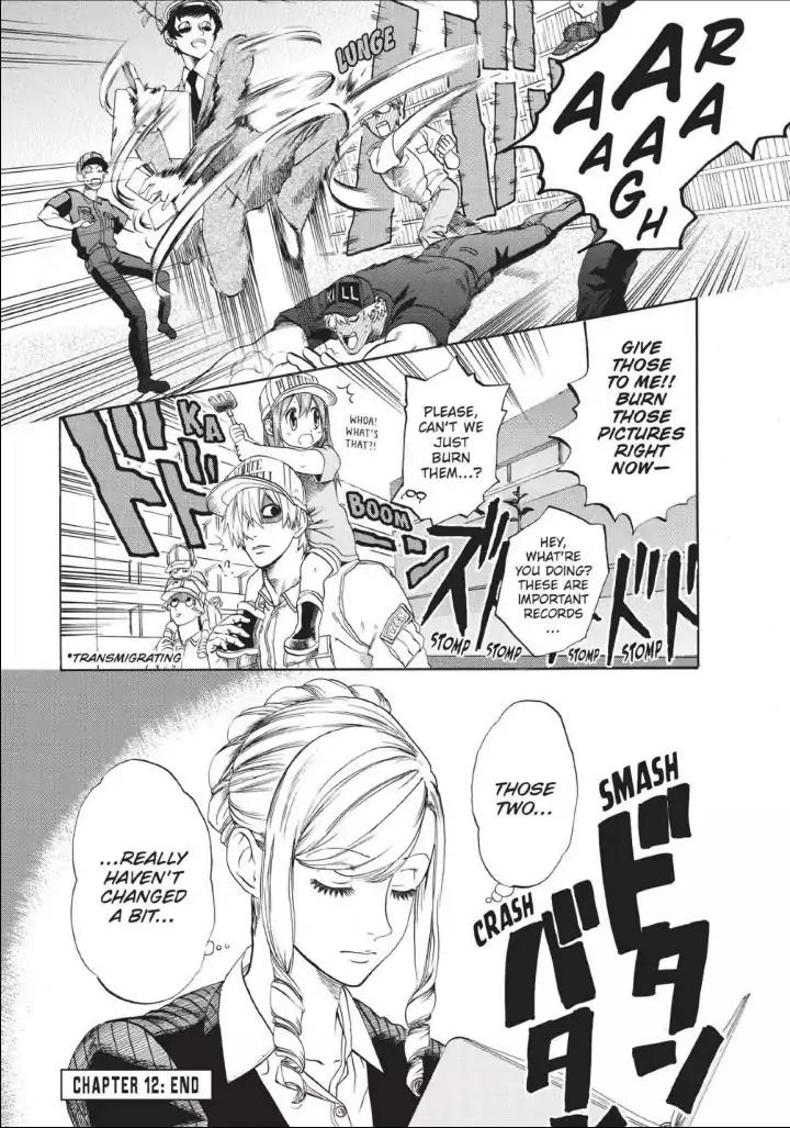 Hataraku Saibou chapter 12 page 36