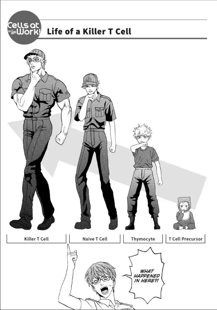 Hataraku Saibou chapter 12 page 37