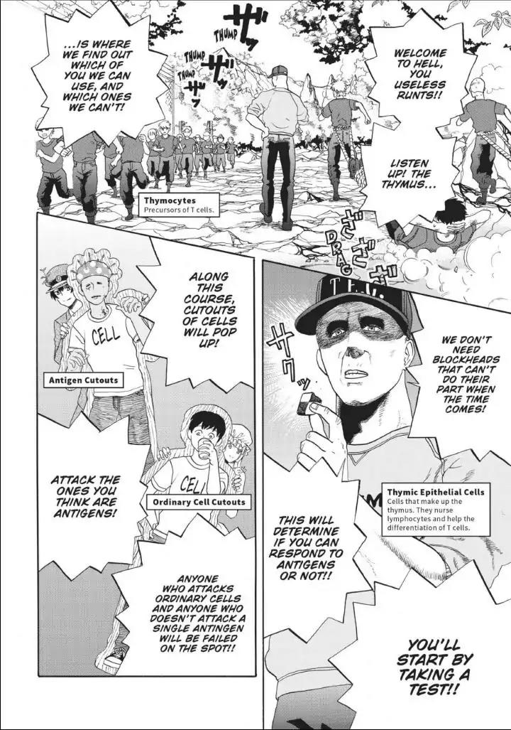 Hataraku Saibou chapter 12 page 8