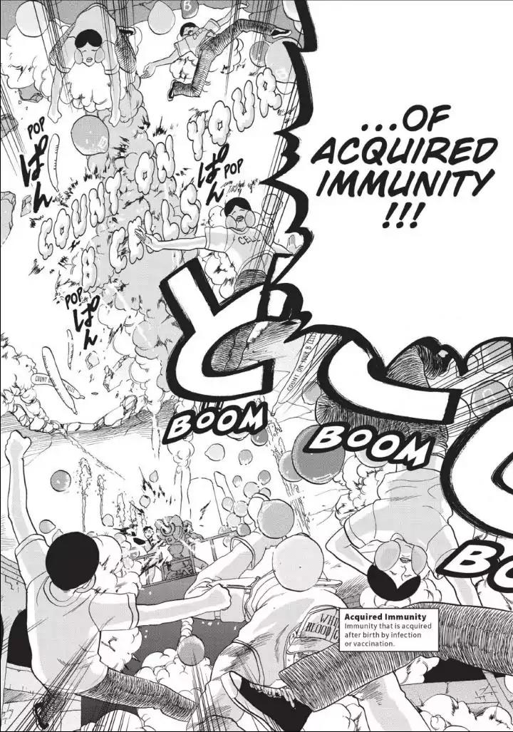 Hataraku Saibou chapter 13 page 26