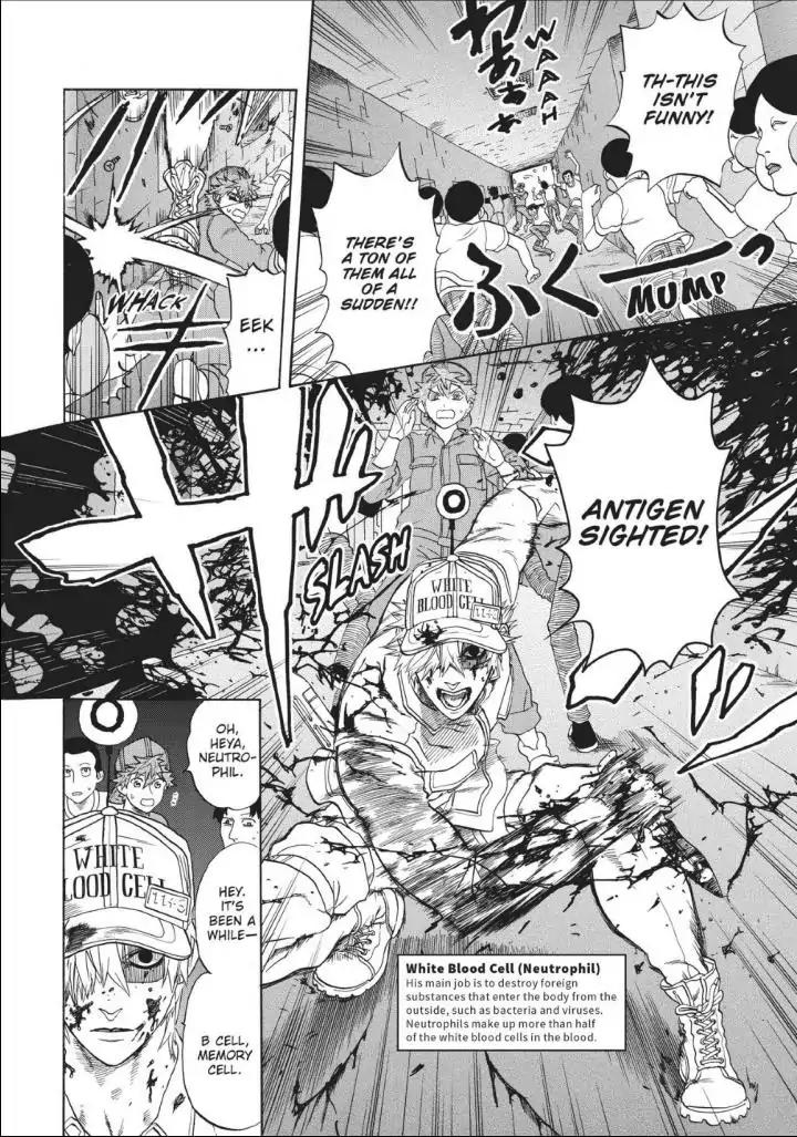 Hataraku Saibou chapter 13 page 8