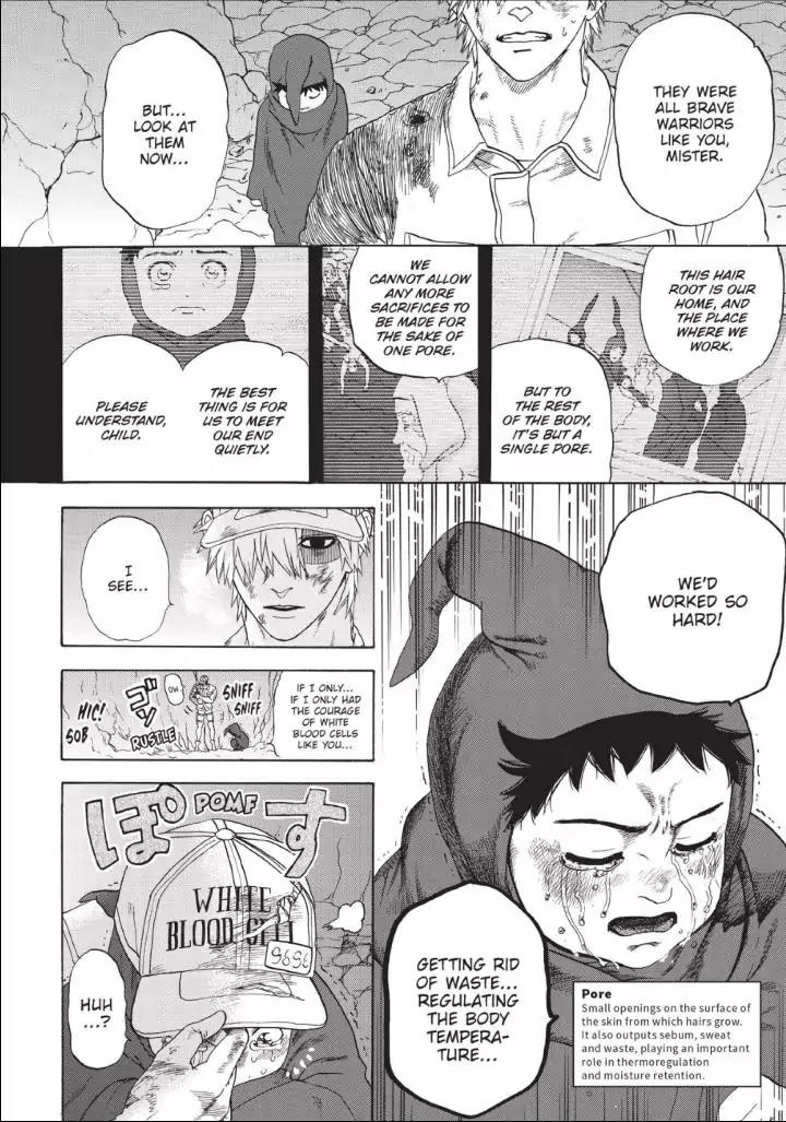 Hataraku Saibou chapter 14 page 10