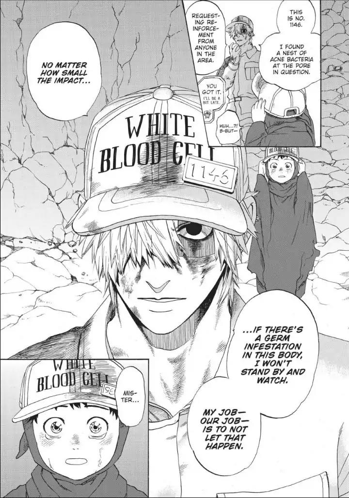 Hataraku Saibou chapter 14 page 11