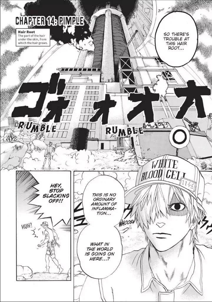 Hataraku Saibou chapter 14 page 2