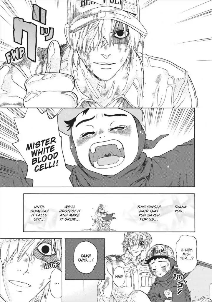 Hataraku Saibou chapter 14 page 29