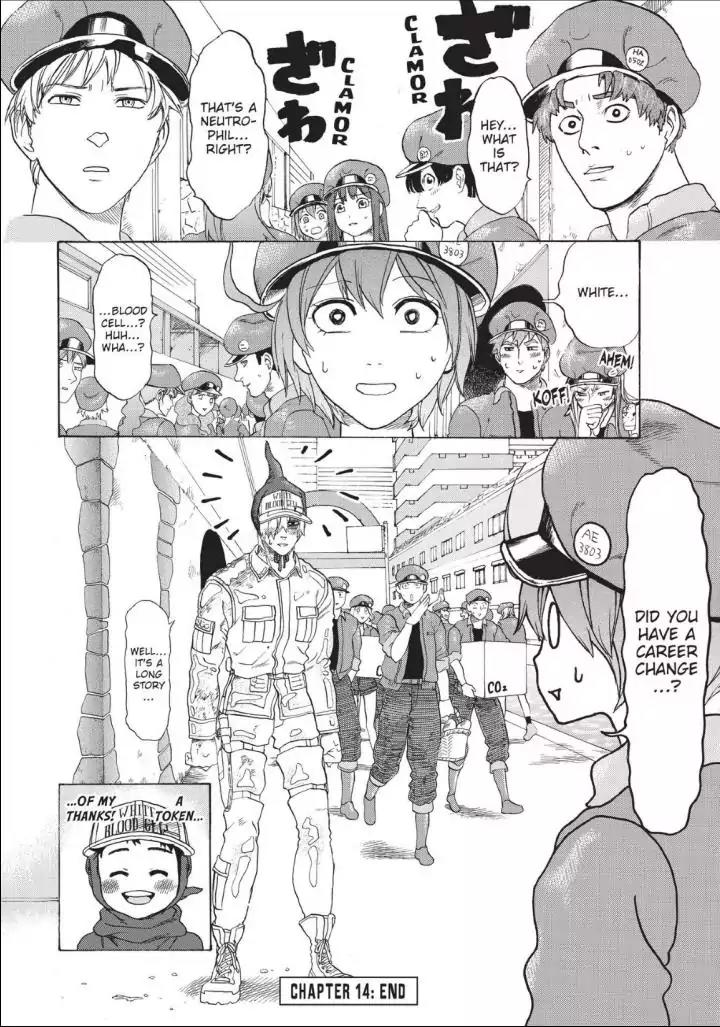 Hataraku Saibou chapter 14 page 30