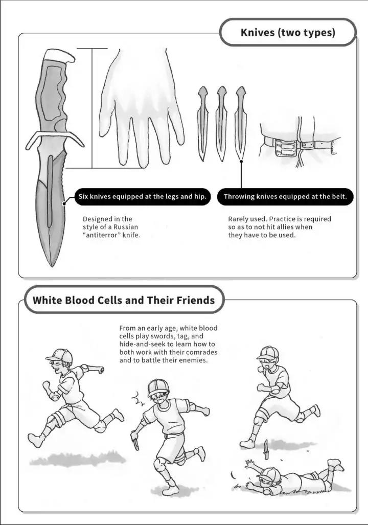 Hataraku Saibou chapter 14 page 32