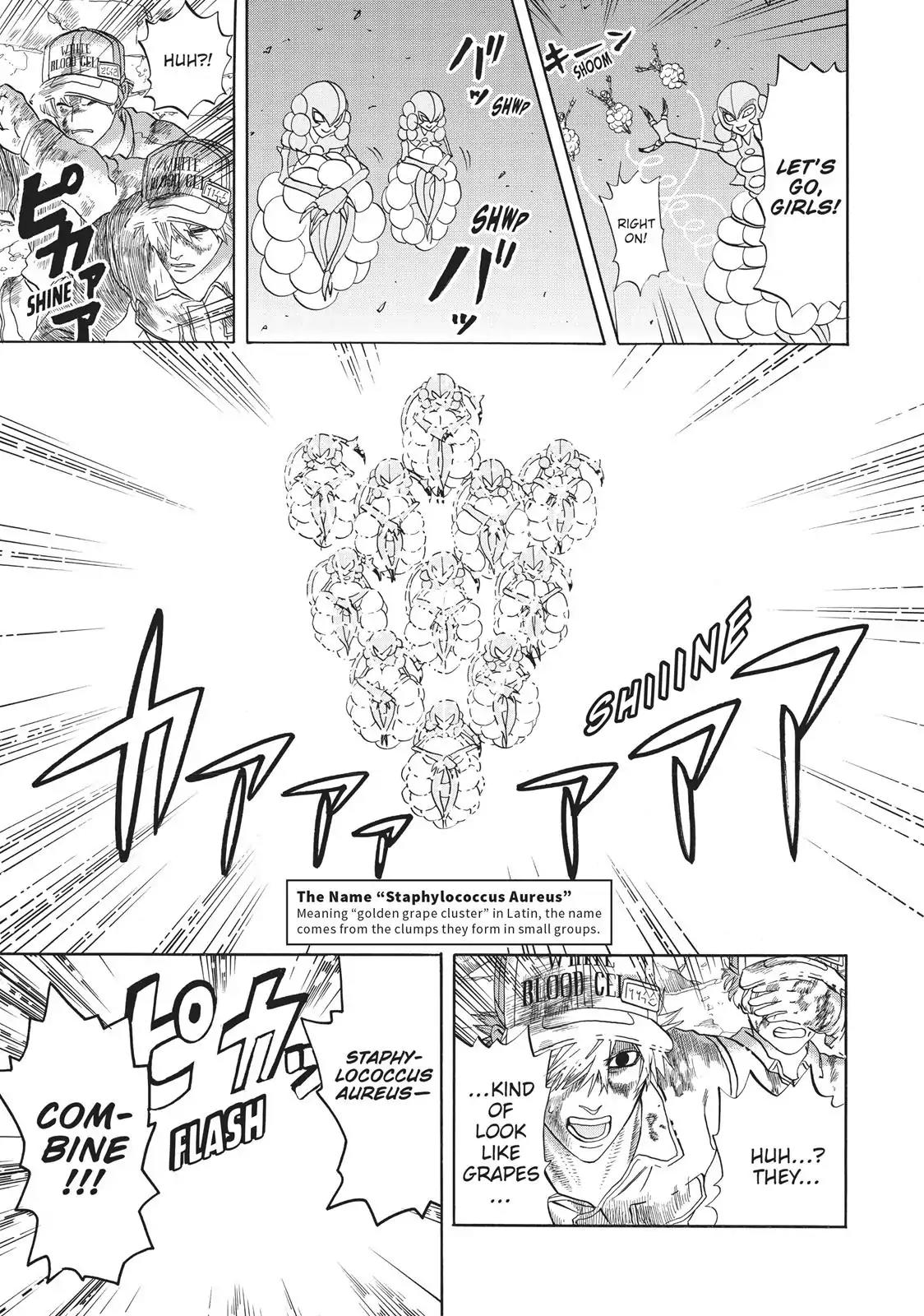 Hataraku Saibou chapter 15 page 14