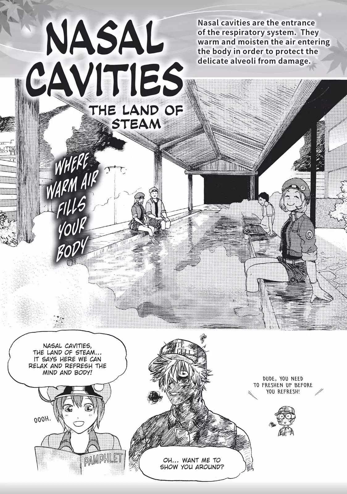 Hataraku Saibou chapter 15 page 30