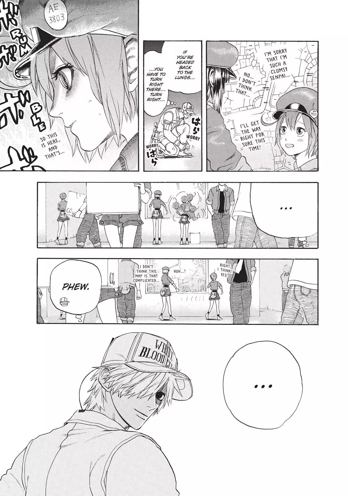 Hataraku Saibou chapter 17 page 13