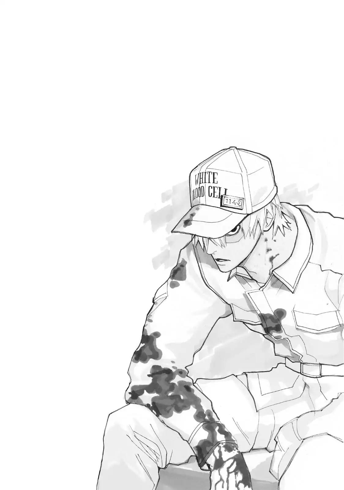 Hataraku Saibou chapter 17 page 30