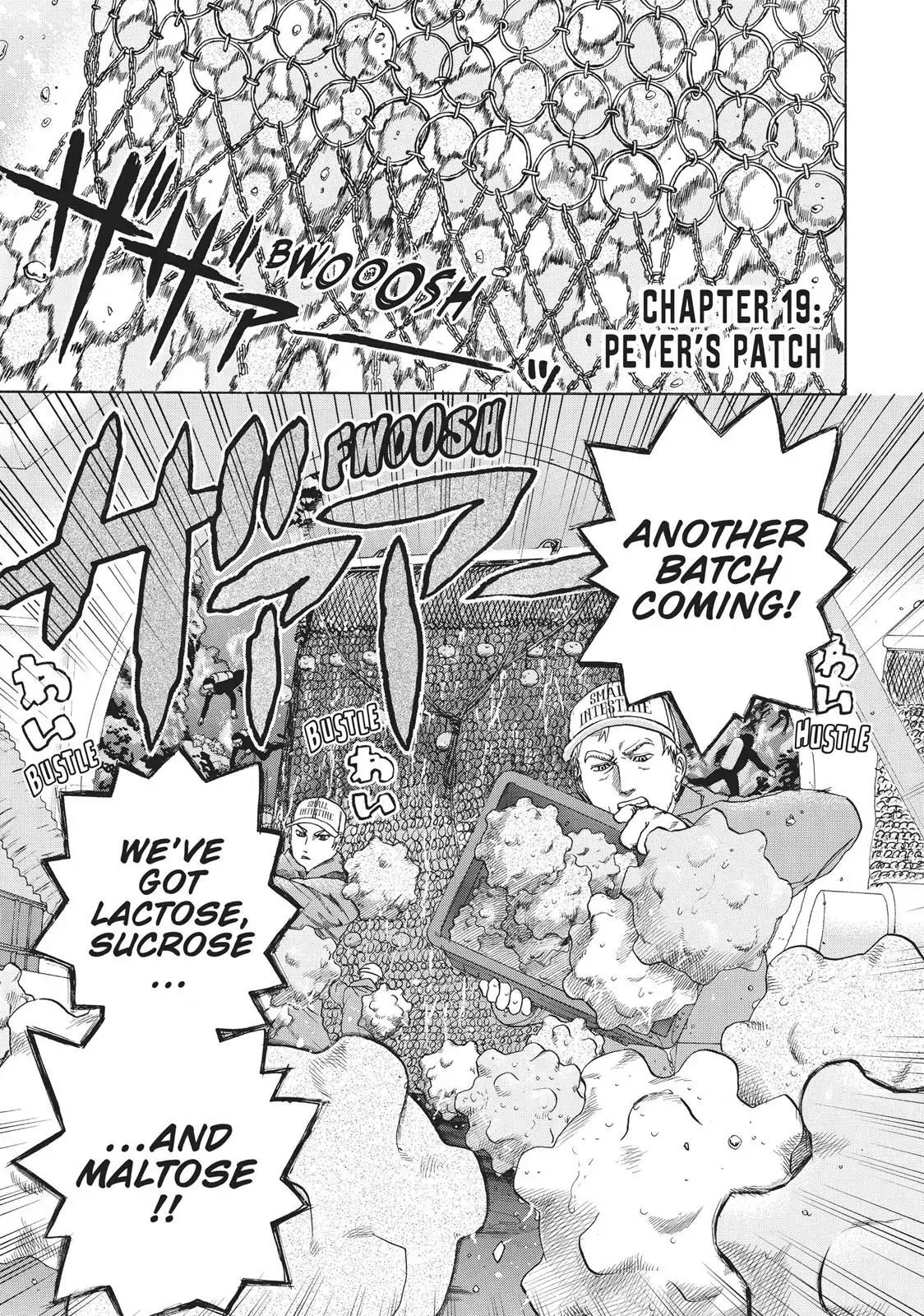 Hataraku Saibou chapter 19 page 1