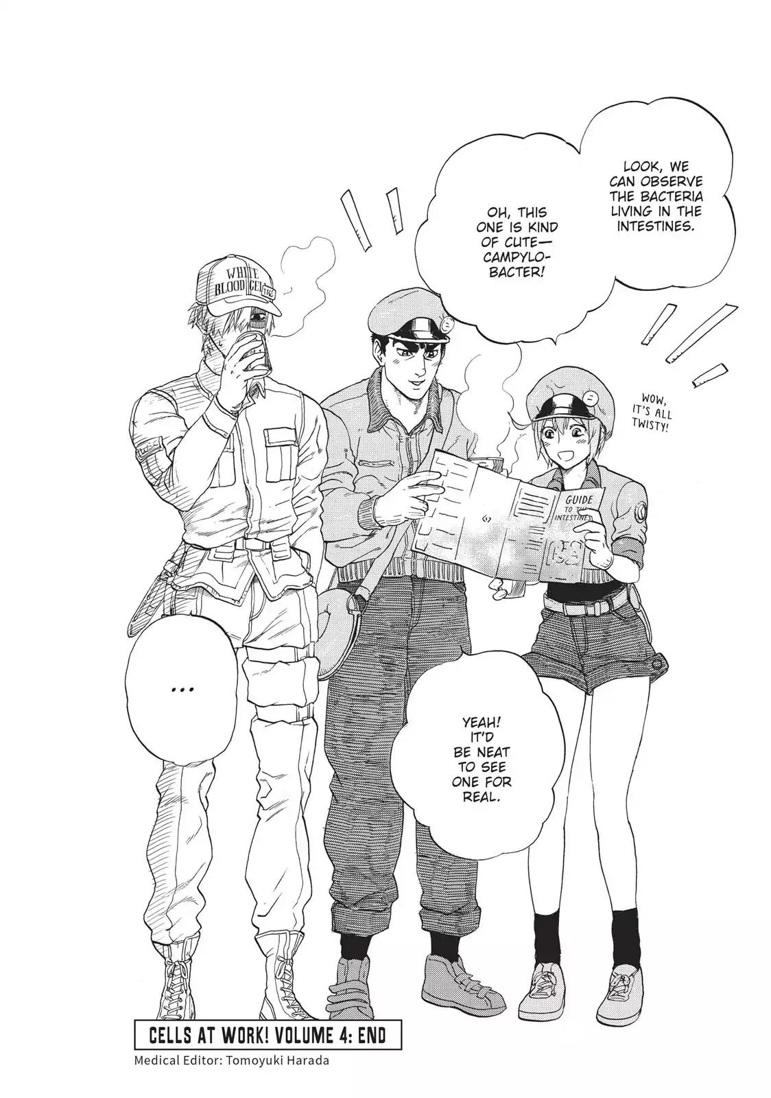 Hataraku Saibou chapter 19 page 31