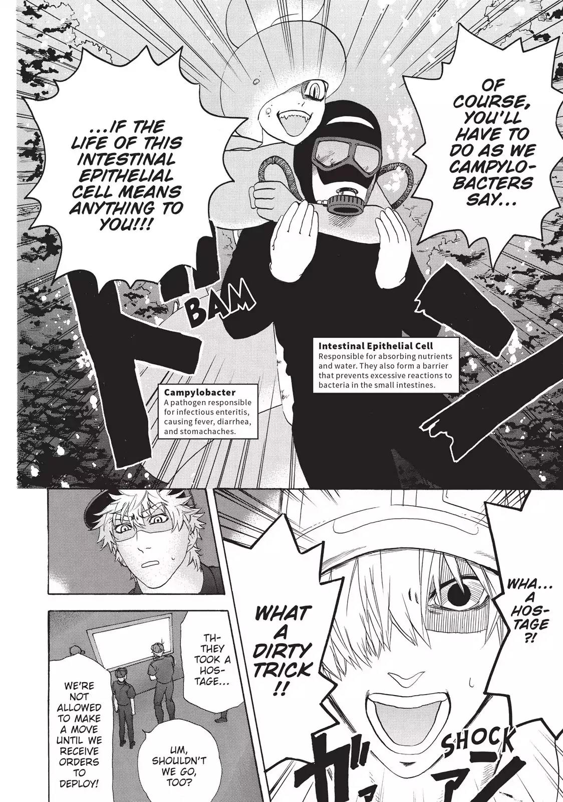 Hataraku Saibou chapter 19 page 8