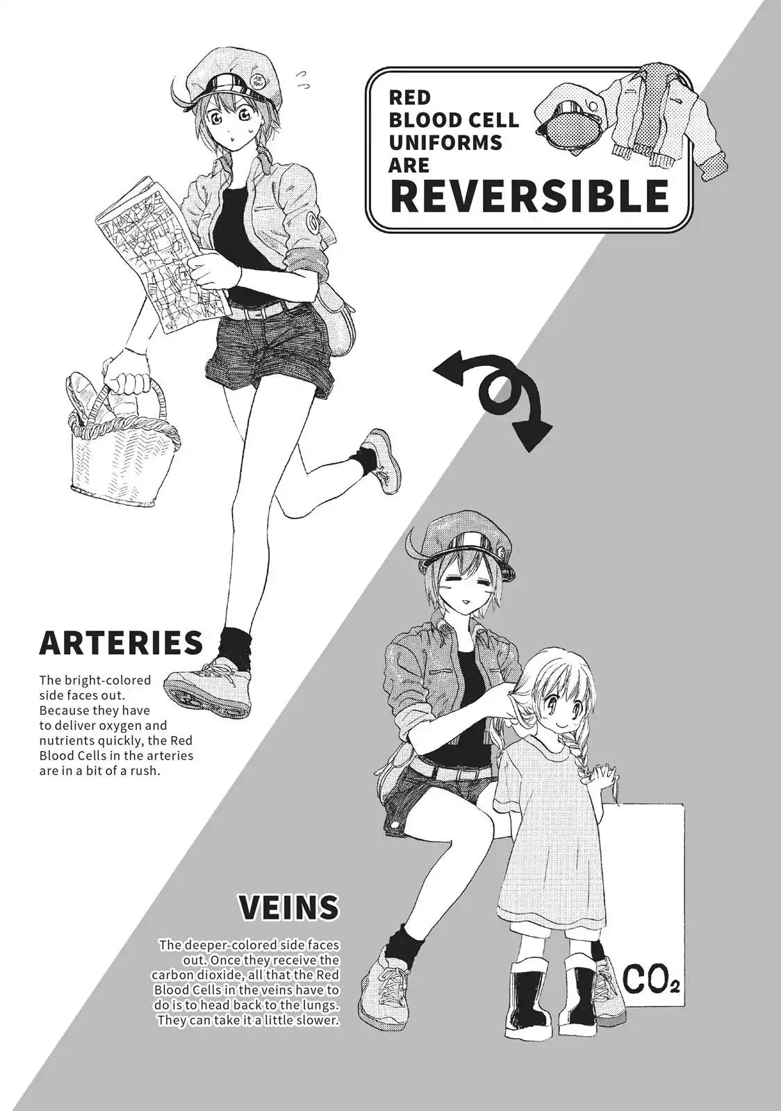 Hataraku Saibou chapter 2 page 41