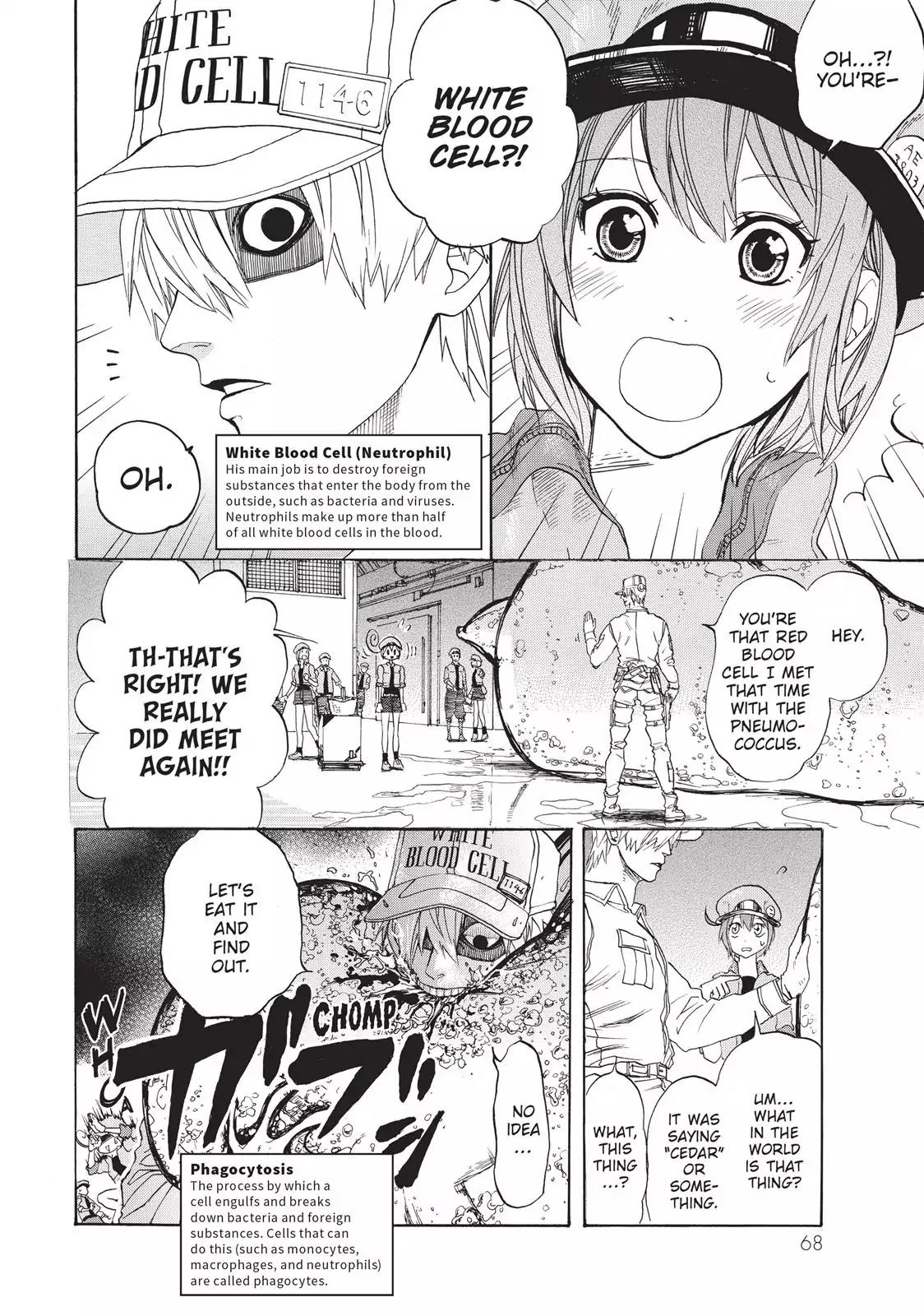 Hataraku Saibou chapter 2 page 8