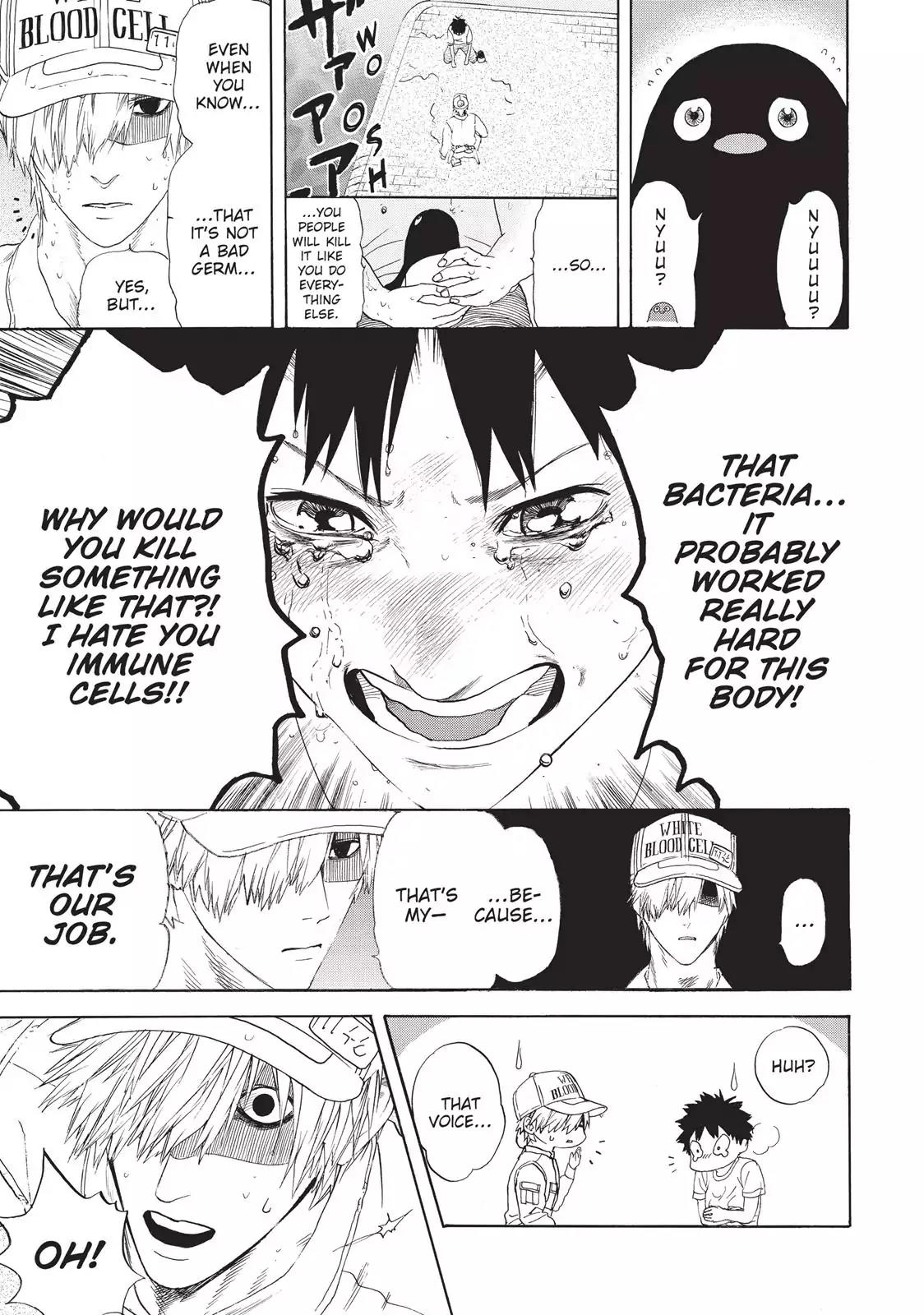 Hataraku Saibou chapter 21 page 13