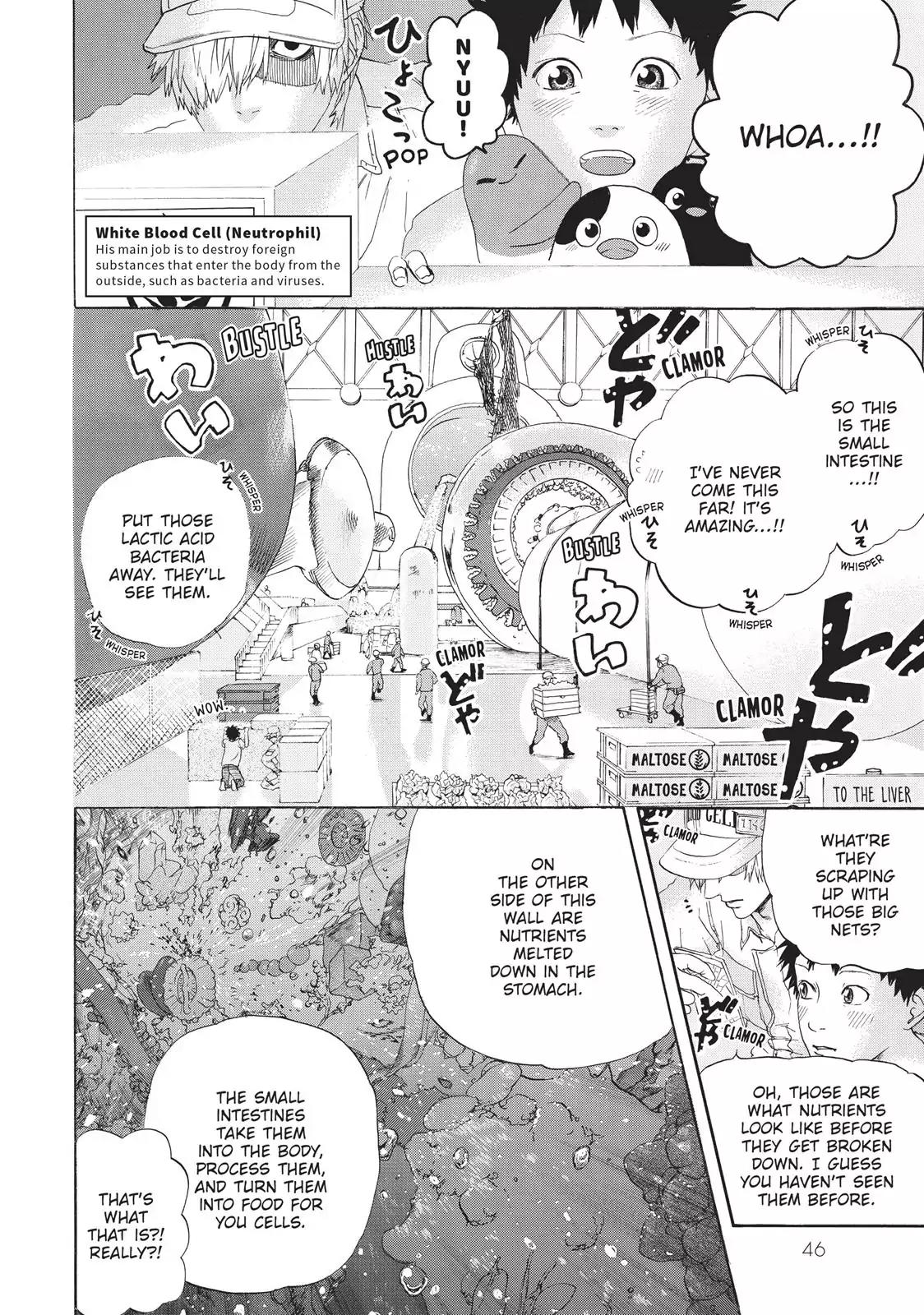 Hataraku Saibou chapter 21 page 2