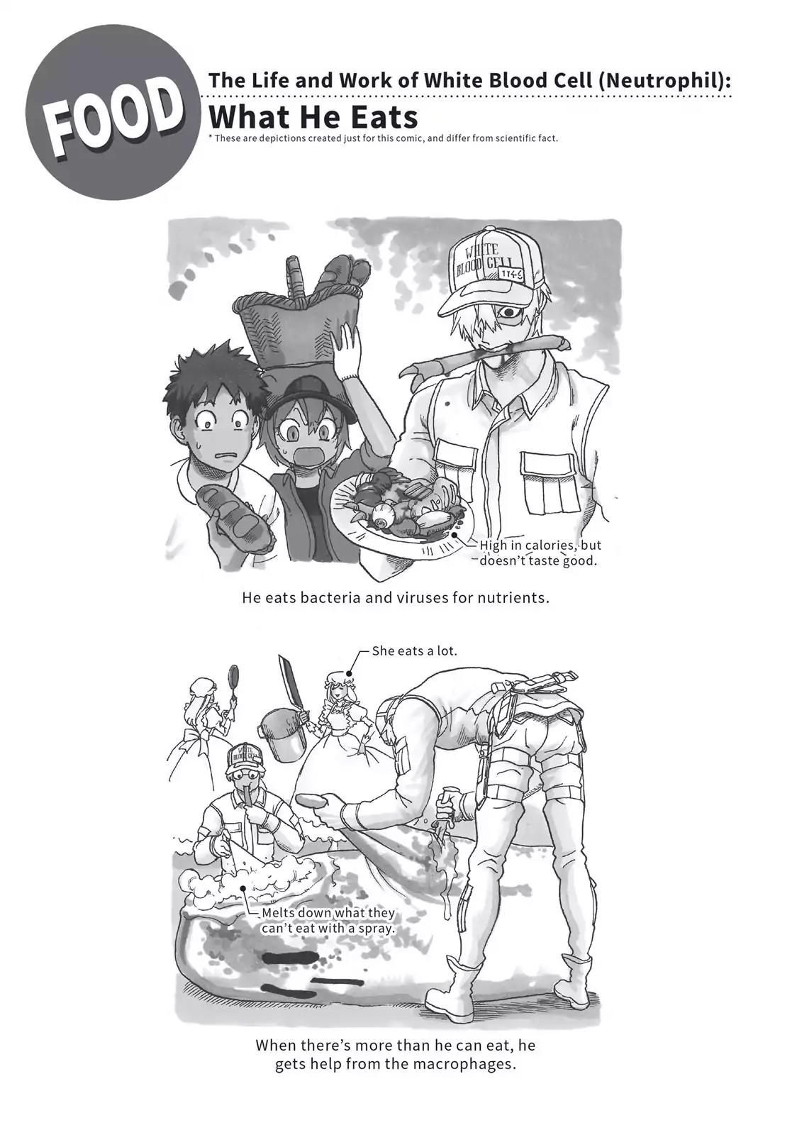 Hataraku Saibou chapter 21 page 29