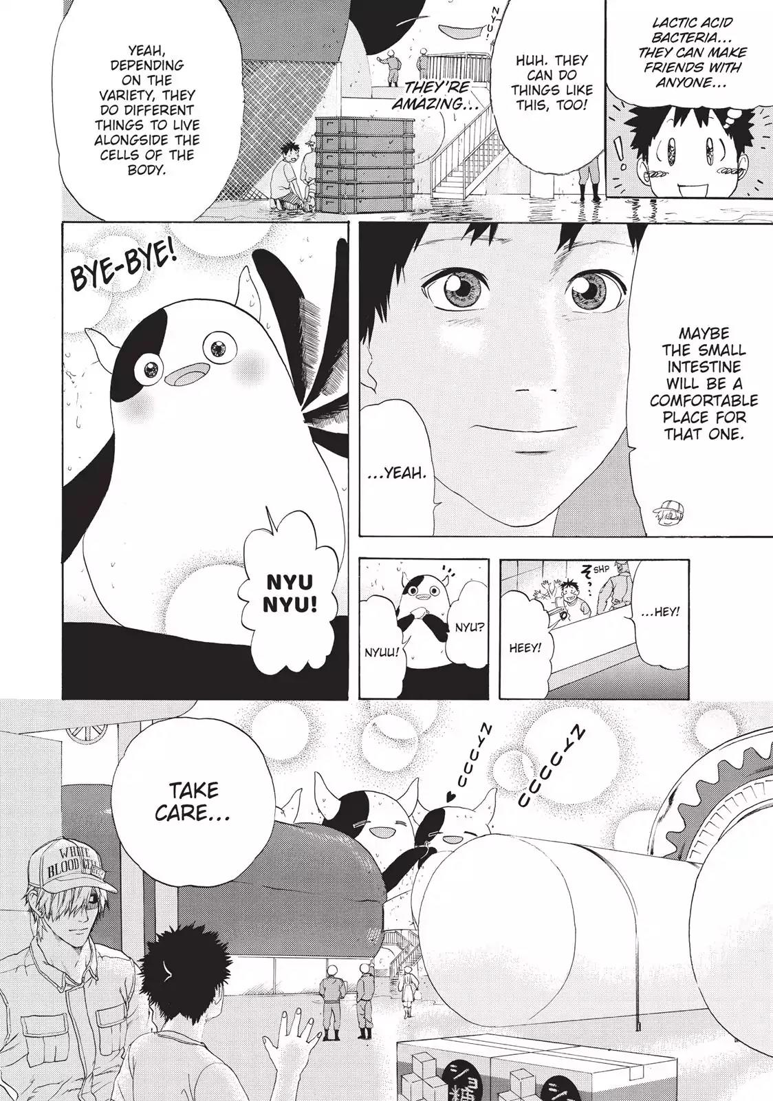 Hataraku Saibou chapter 21 page 8