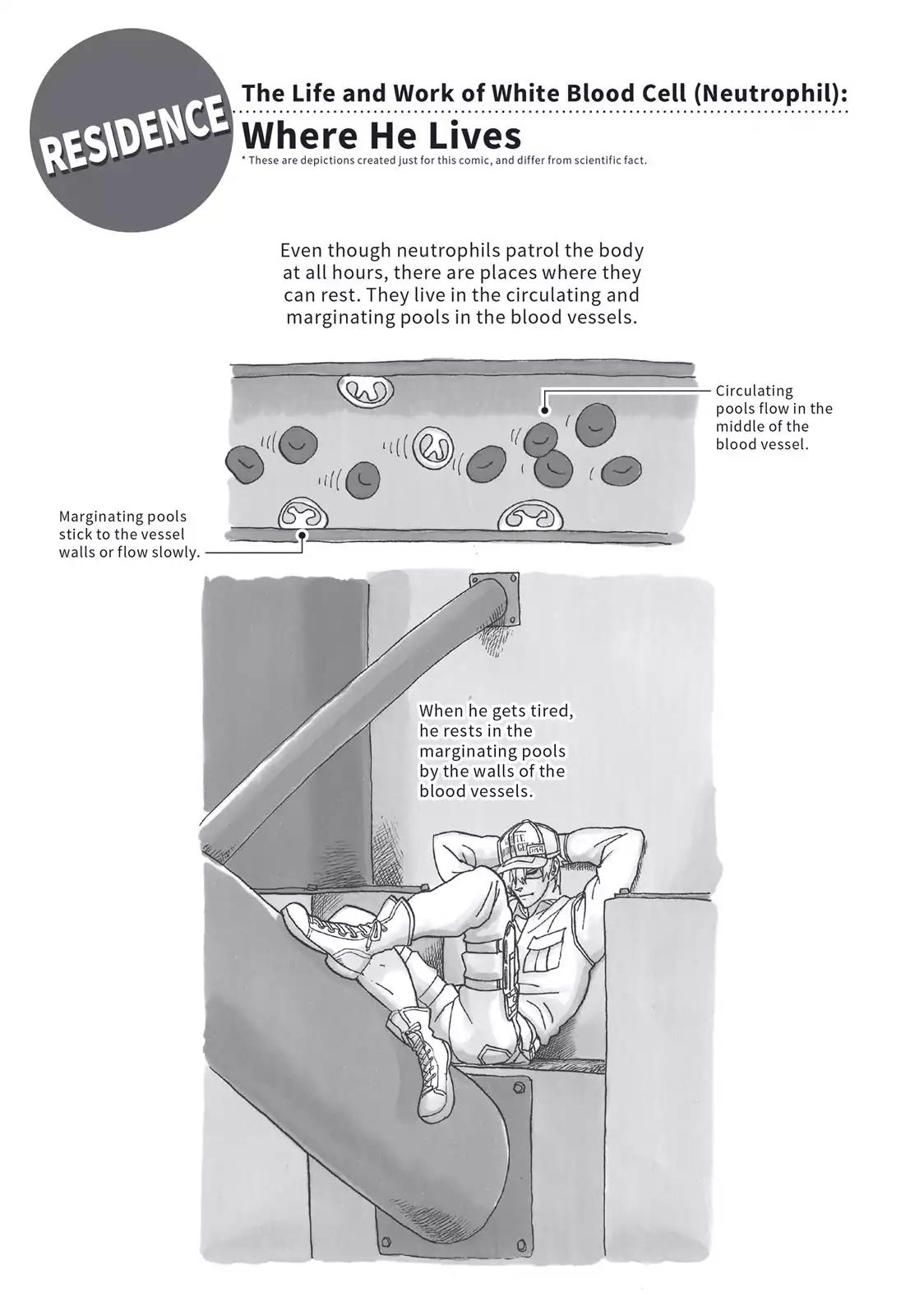 Hataraku Saibou chapter 22 page 30