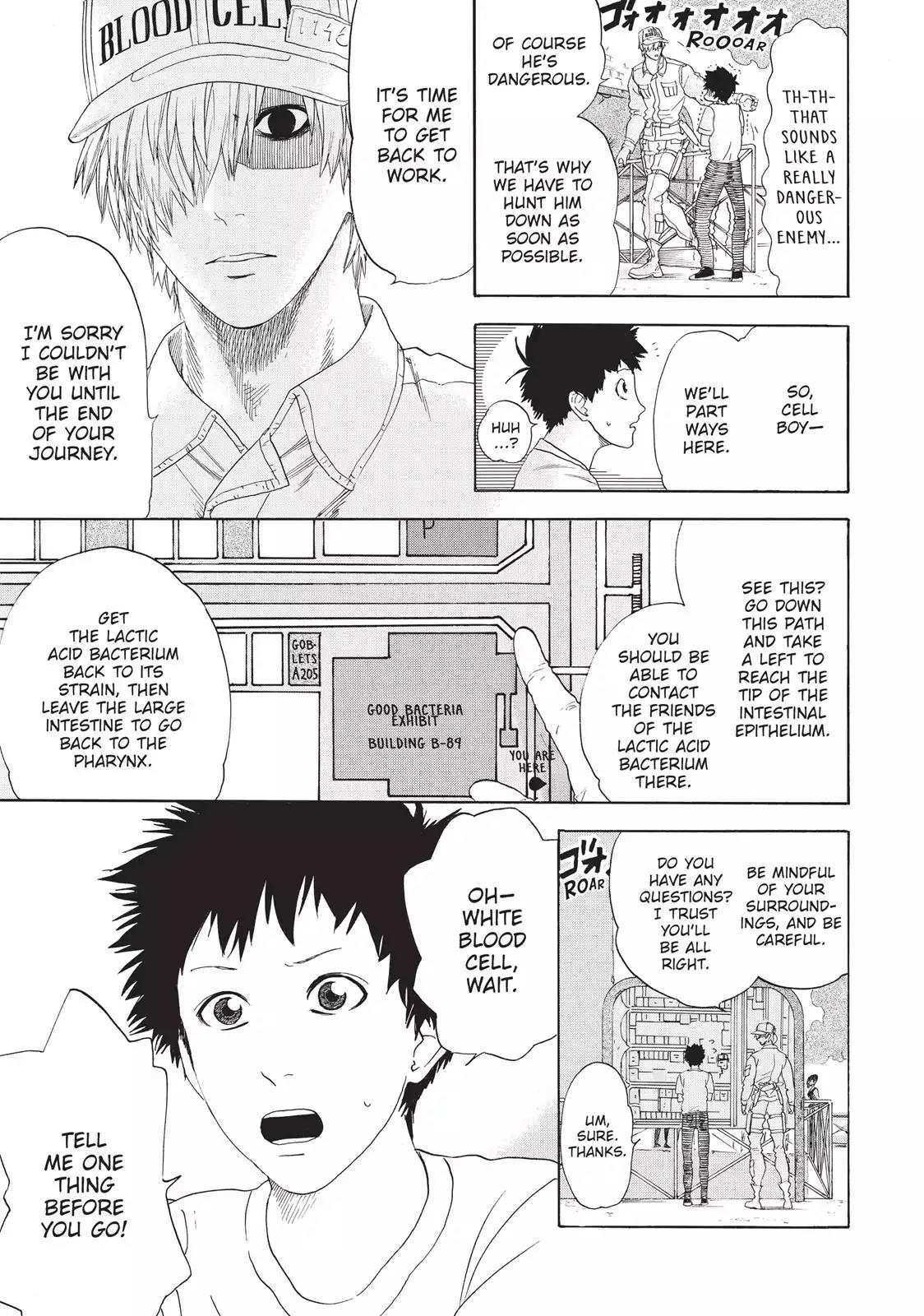 Hataraku Saibou chapter 23 page 11