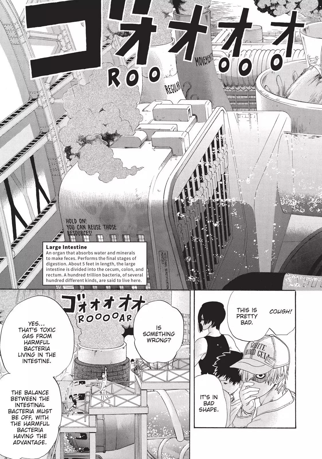 Hataraku Saibou chapter 23 page 3