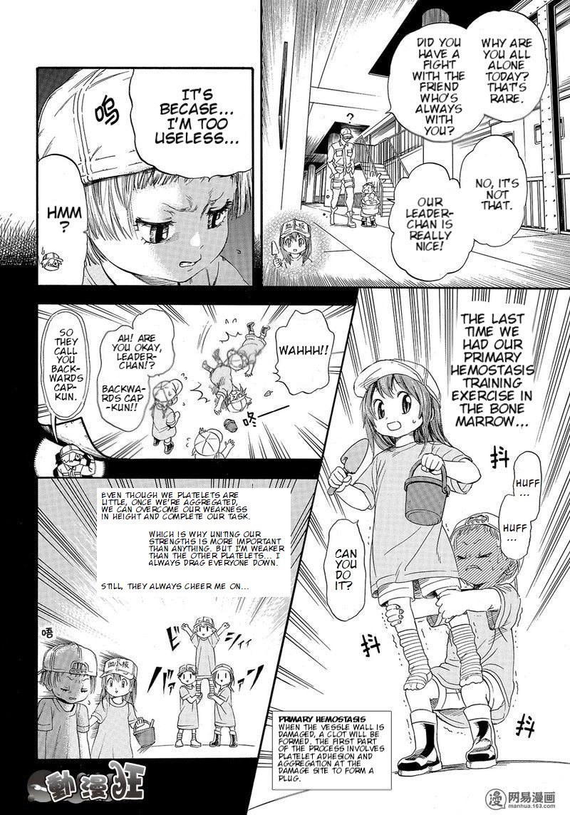 Hataraku Saibou chapter 26 page 10