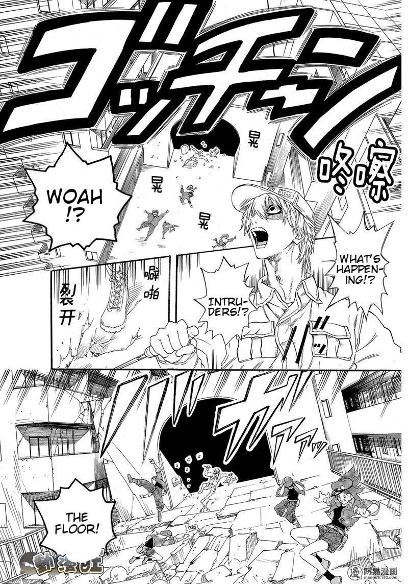 Hataraku Saibou chapter 26 page 13