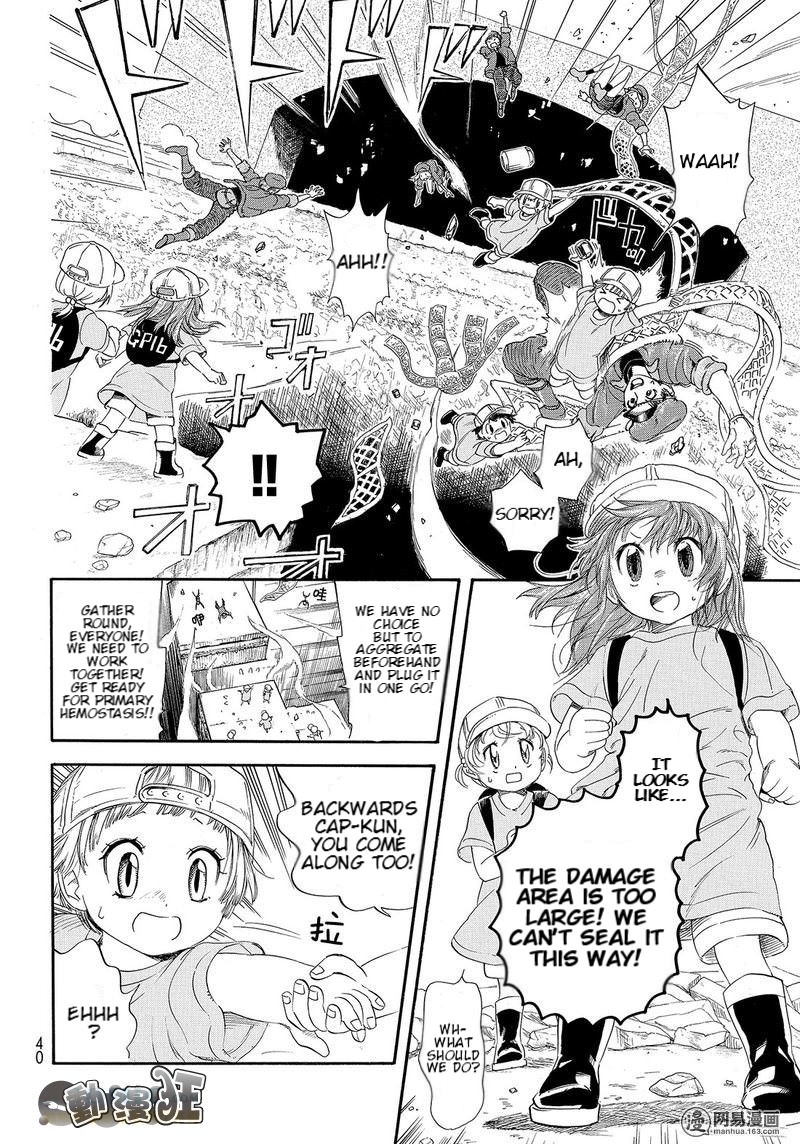 Hataraku Saibou chapter 26 page 20