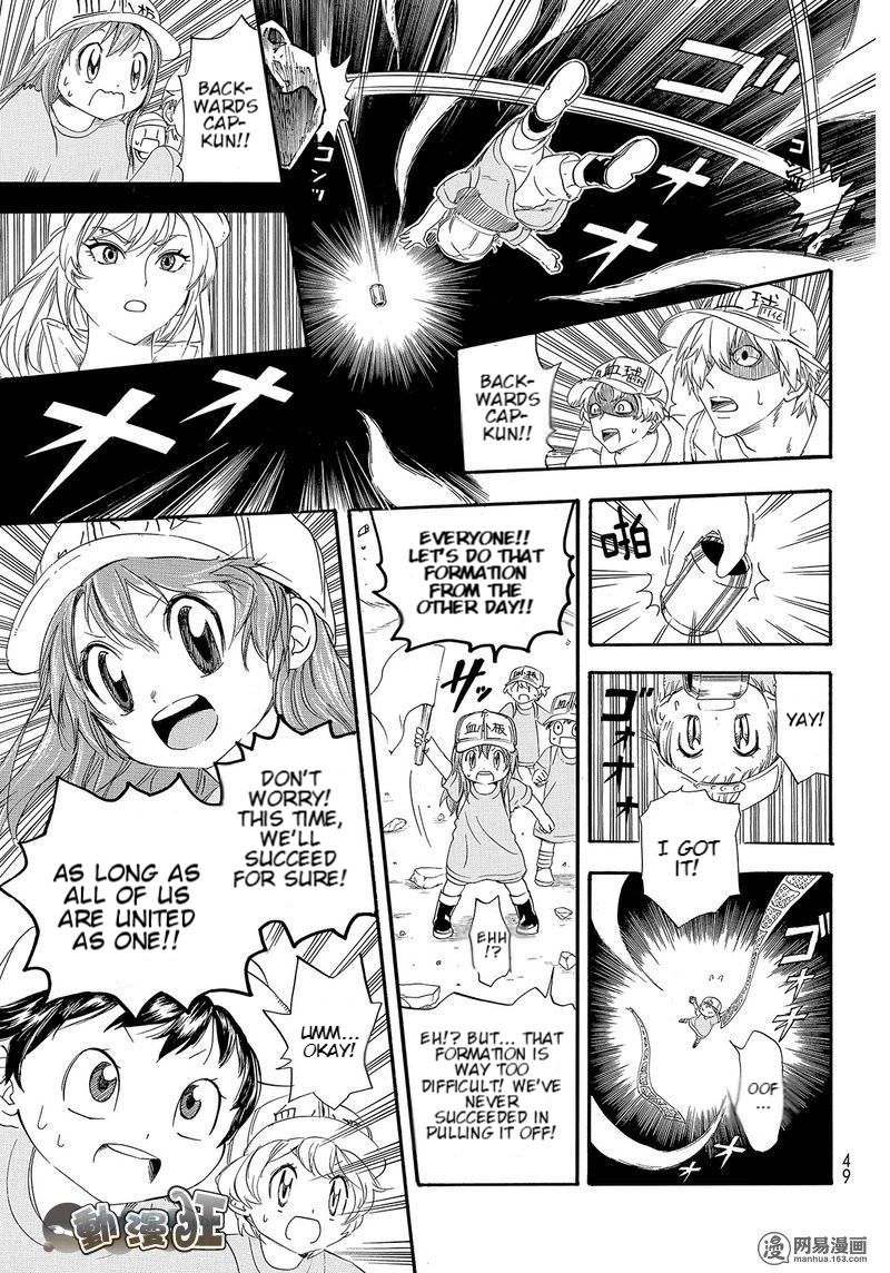 Hataraku Saibou chapter 26 page 29