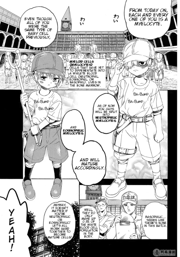Hataraku Saibou chapter 27 page 3