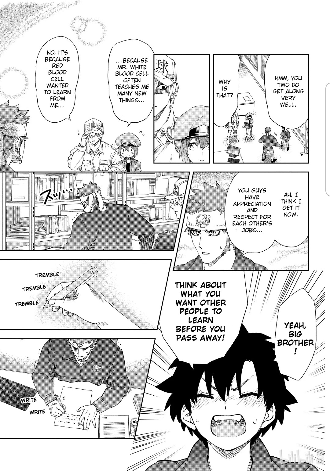 Hataraku Saibou chapter 28 page 22