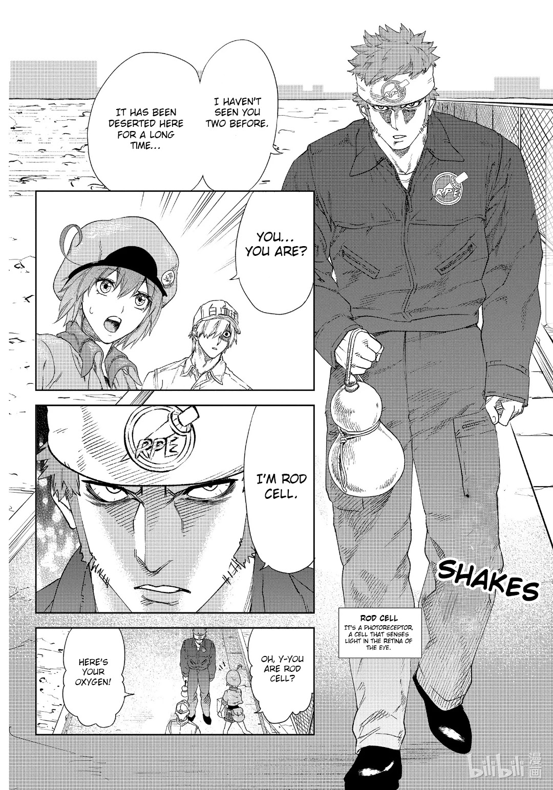 Hataraku Saibou chapter 28 page 8