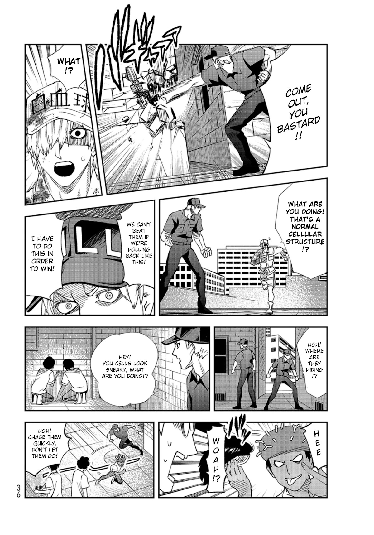 Hataraku Saibou chapter 29 page 15