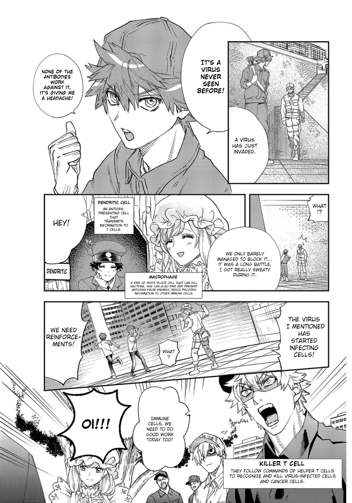 Hataraku Saibou chapter 29 page 8