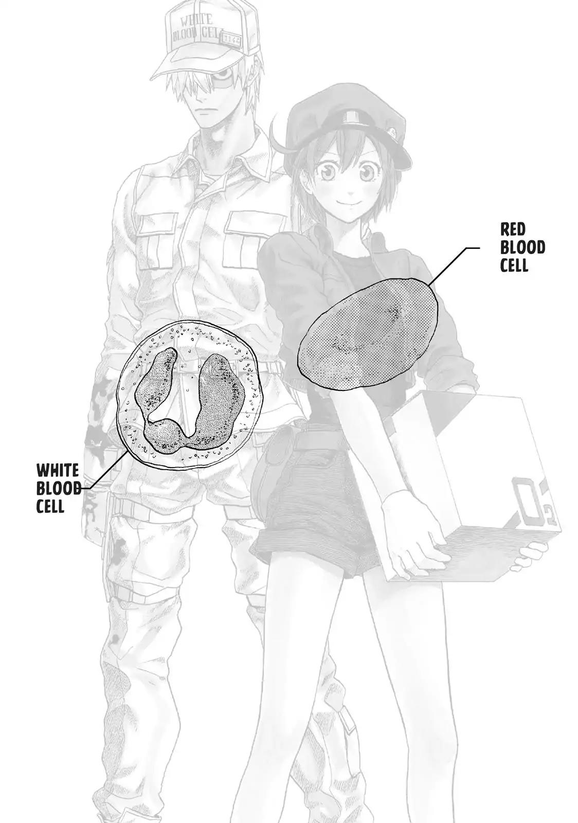 Hataraku Saibou chapter 4 page 40