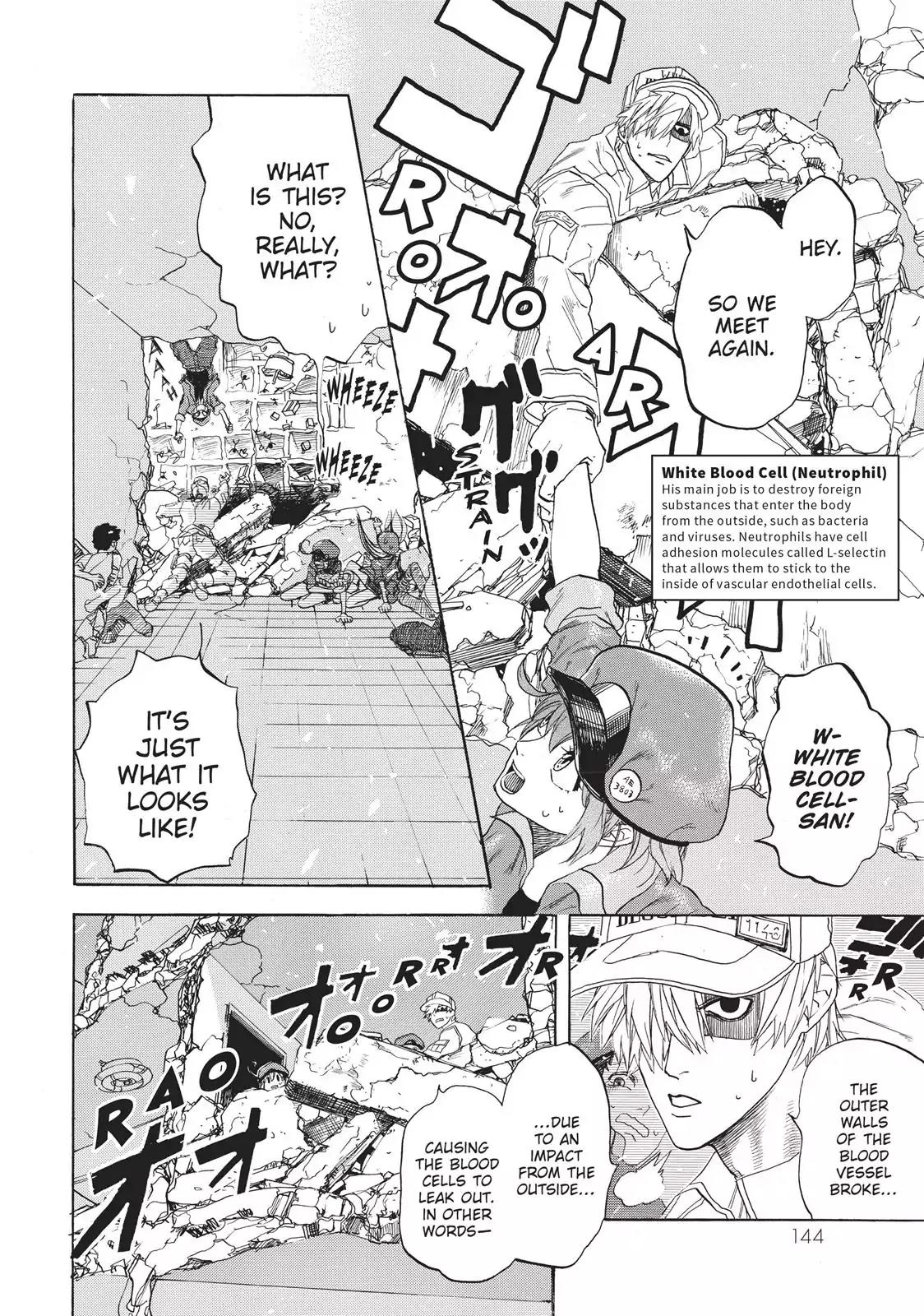 Hataraku Saibou chapter 4 page 8