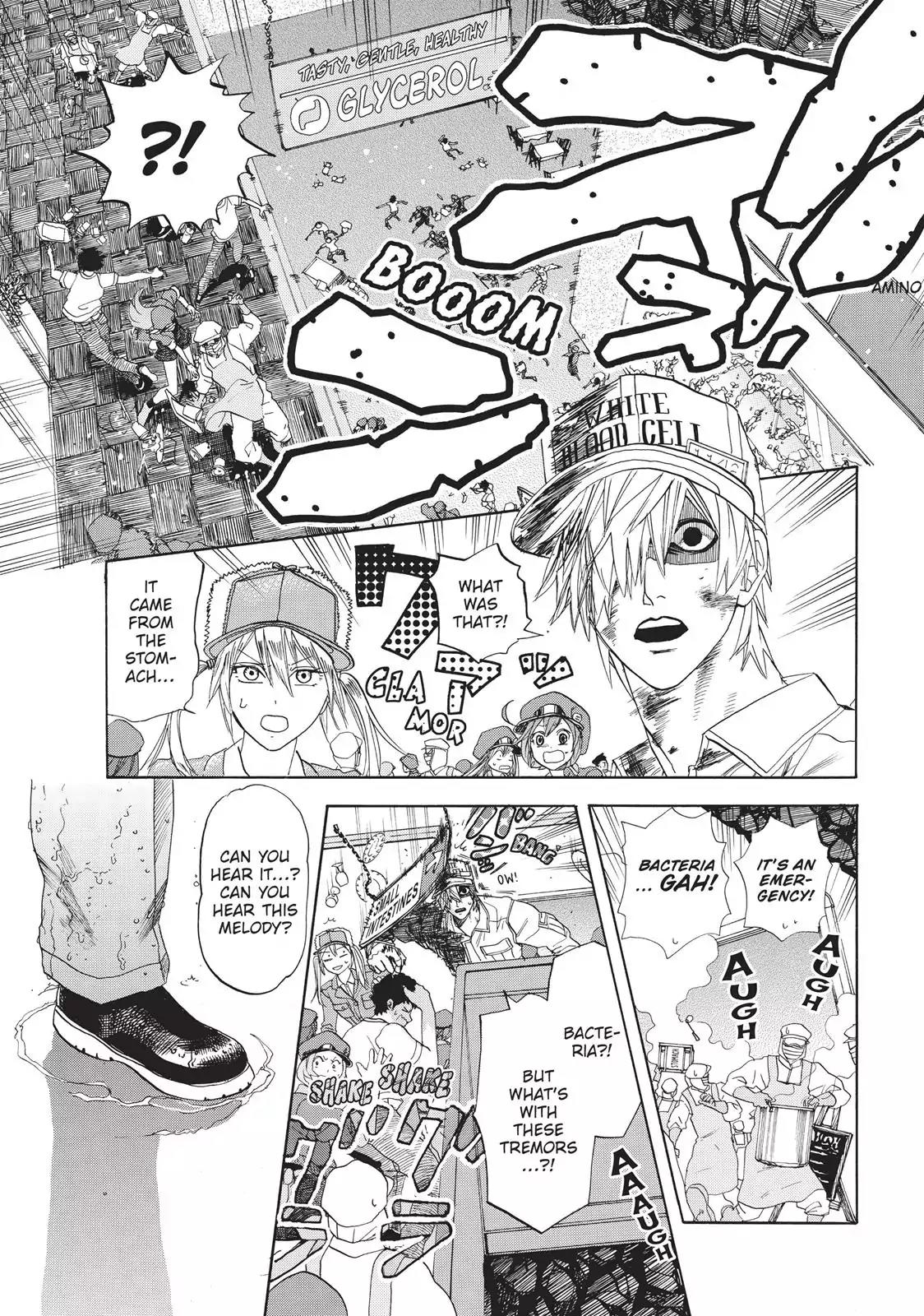 Hataraku Saibou chapter 5 page 12