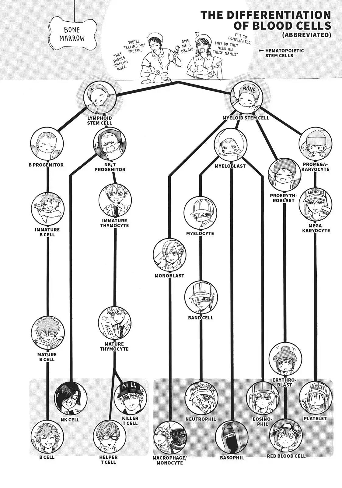 Hataraku Saibou chapter 6 page 32